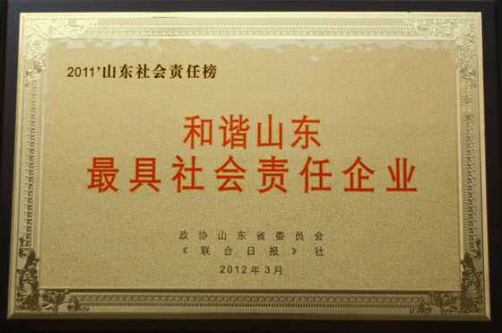 201203 和諧山東最具社會責(zé)任企業(yè)